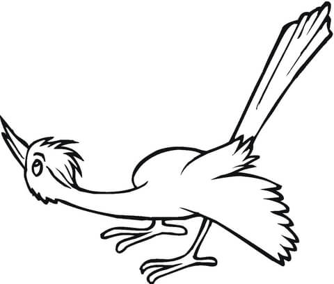 Curious Cuckooo  Coloring Page